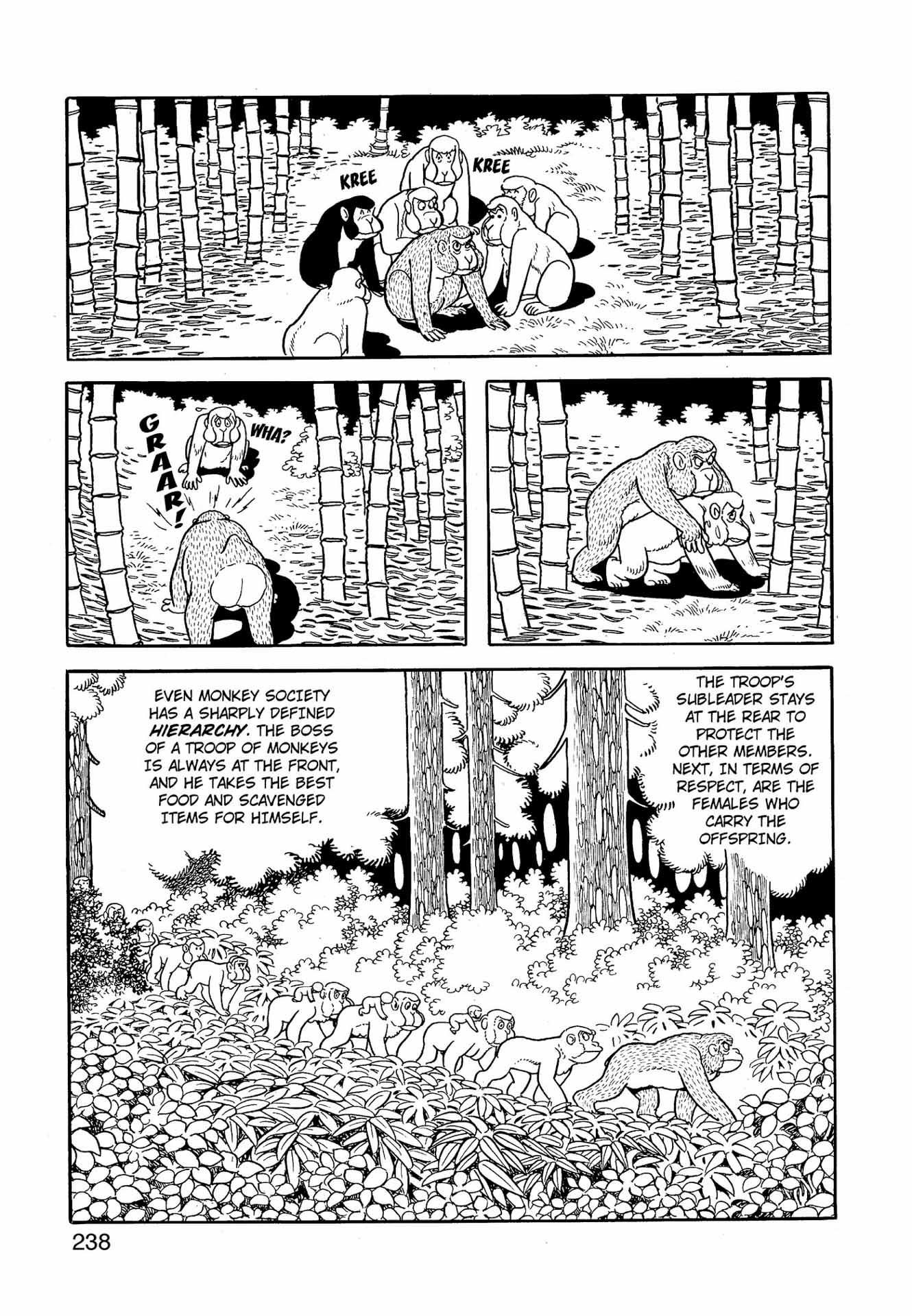 Chim lửa | Chương 67. Chim lửa | Chương 67. 162 – manga, tezuka osamu, hi no tori, chim lua, phoenix, bird of fire.